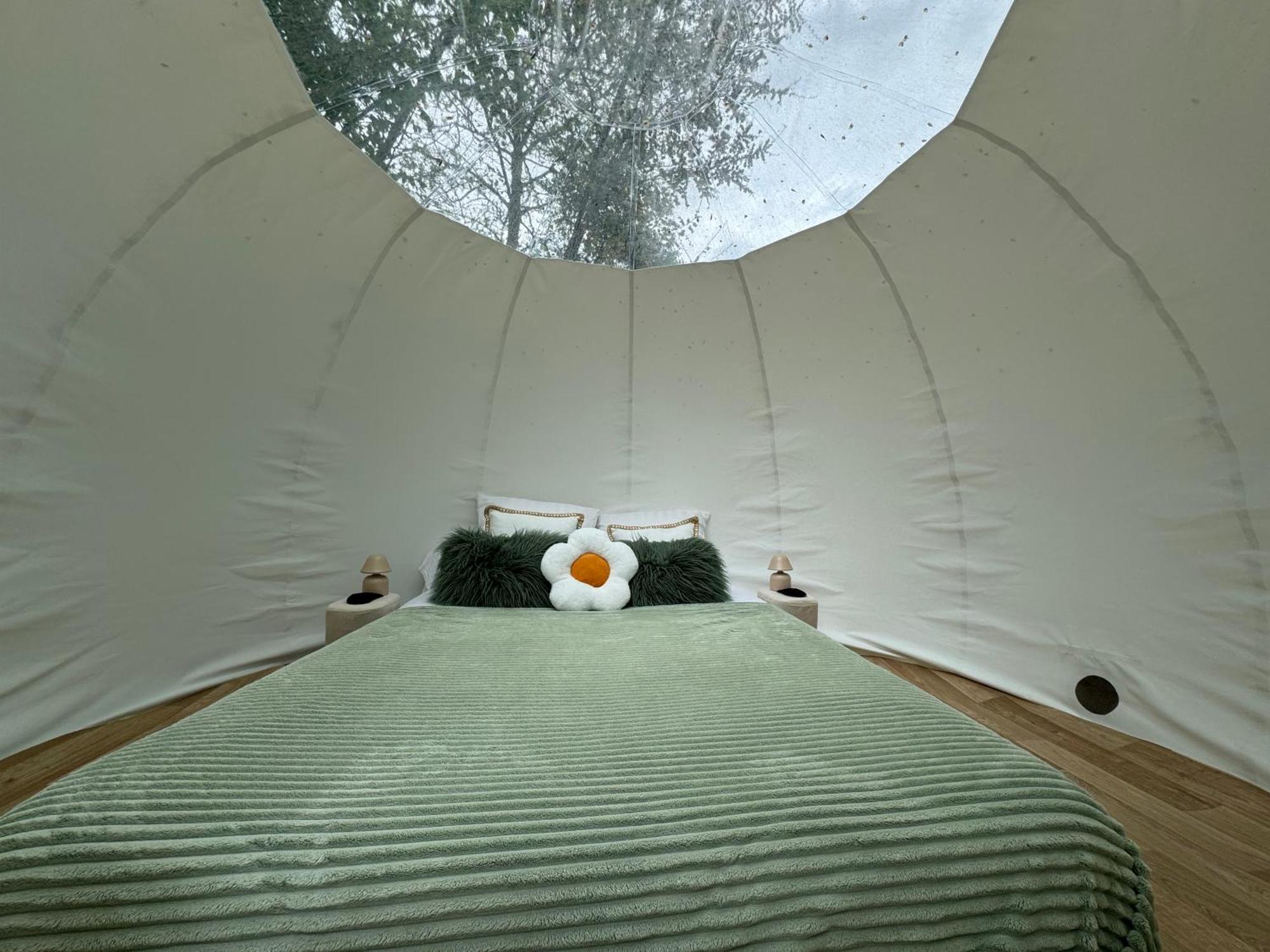 Au Domaine Du Predieu Crecy-sur-Serre Room photo